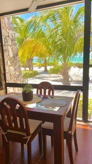 Beachfront Apartment With Swimming Pool. One Bedroom Celestun Exterior photo